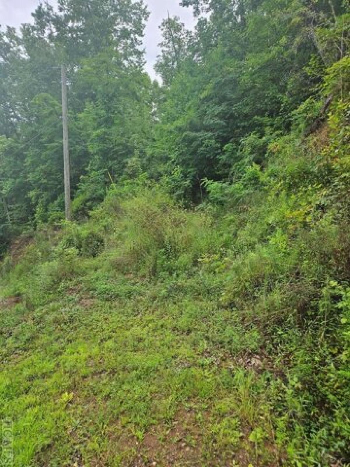 Picture of Residential Land For Sale in Sylva, North Carolina, United States