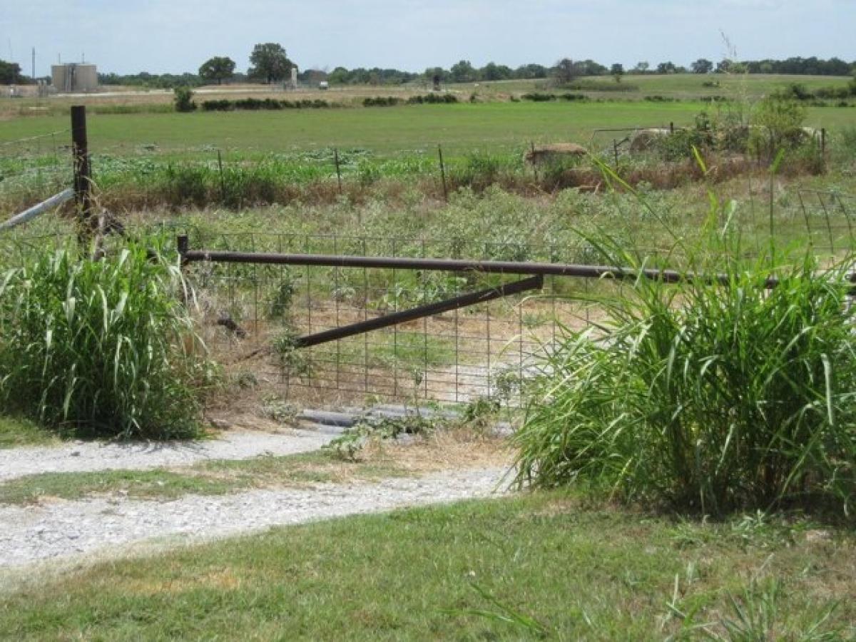 Picture of Residential Land For Sale in Sunset, Texas, United States