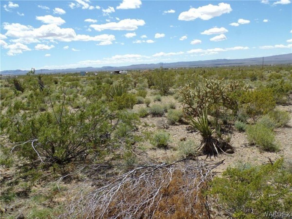 Picture of Residential Land For Sale in Dolan Springs, Arizona, United States