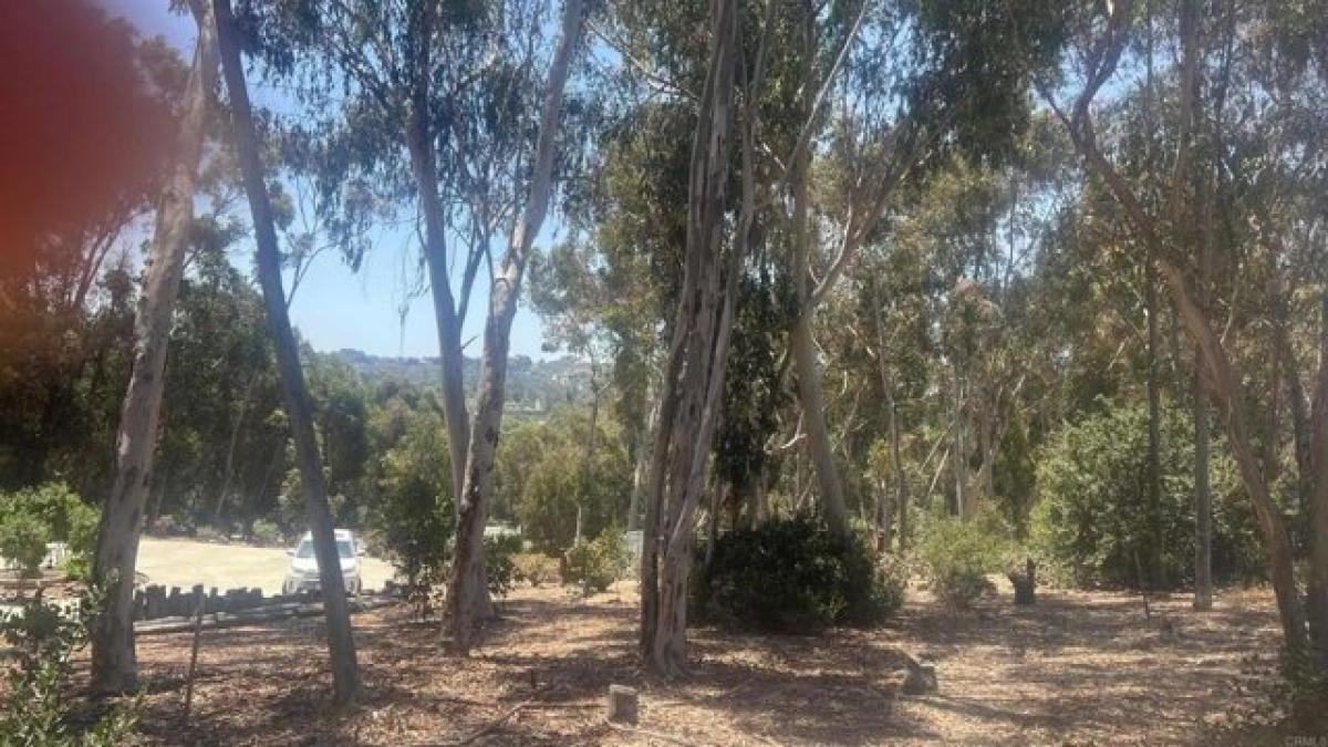 Picture of Residential Land For Sale in Bonita, California, United States