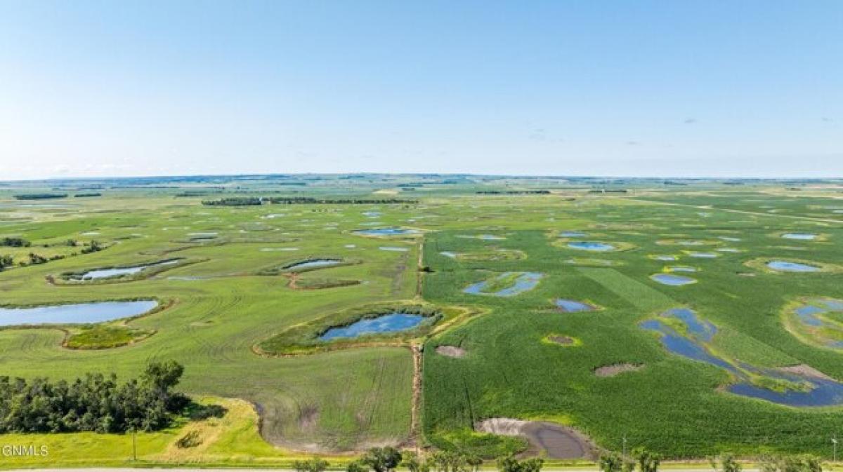 Picture of Residential Land For Sale in Rutland, North Dakota, United States