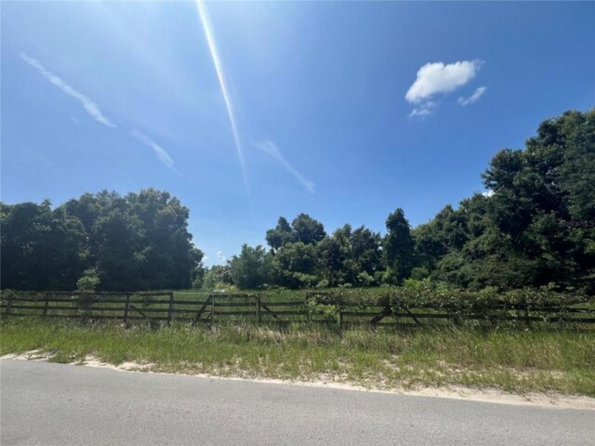 Picture of Residential Land For Sale in Summerfield, Florida, United States