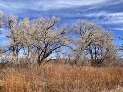 Home For Sale in Ribera, New Mexico