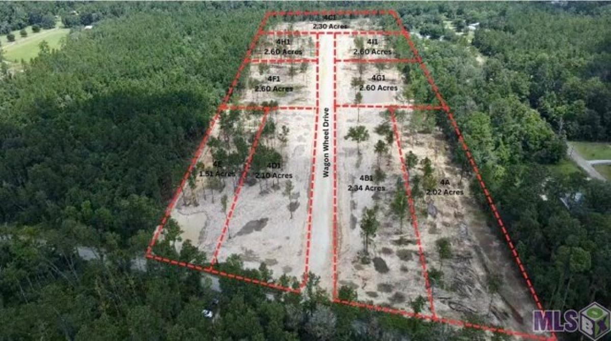 Picture of Residential Land For Sale in Holden, Louisiana, United States