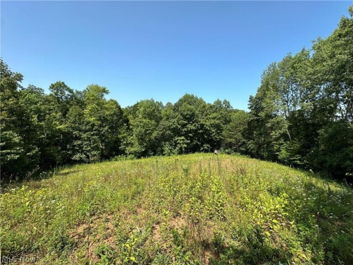 Picture of Residential Land For Sale in Lowell, Ohio, United States