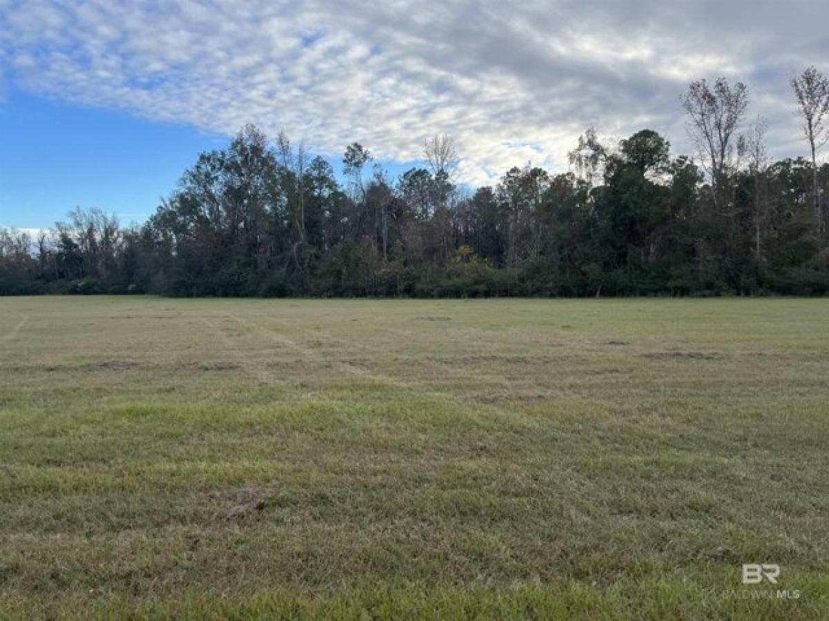 Picture of Residential Land For Sale in Bay Minette, Alabama, United States