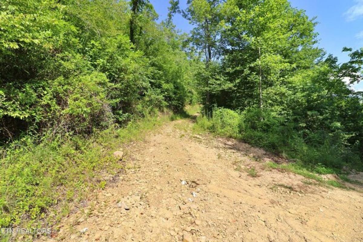 Picture of Residential Land For Sale in Robbins, Tennessee, United States