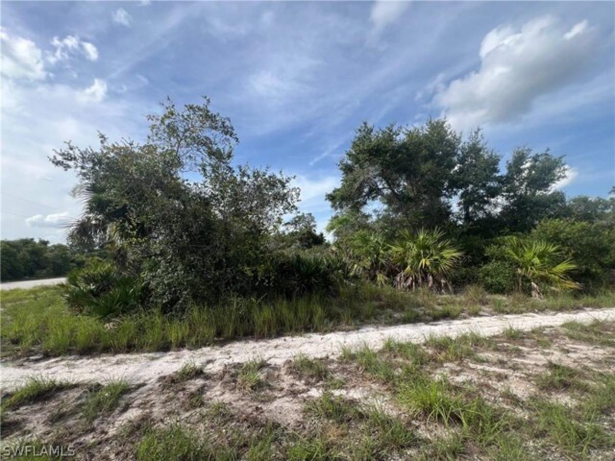 Picture of Residential Land For Sale in Alva, Florida, United States