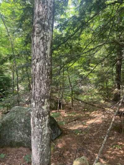 Residential Land For Sale in Ossipee, New Hampshire