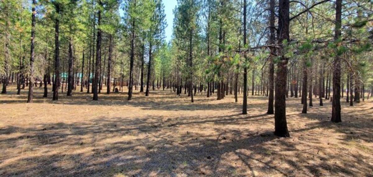 Picture of Residential Land For Sale in La Pine, Oregon, United States