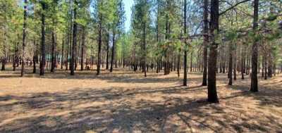 Residential Land For Sale in La Pine, Oregon