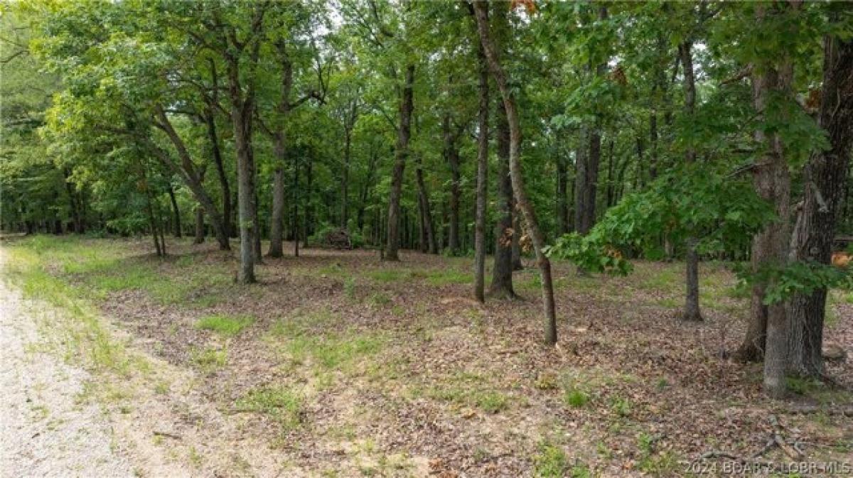 Picture of Residential Land For Sale in Sunrise Beach, Missouri, United States