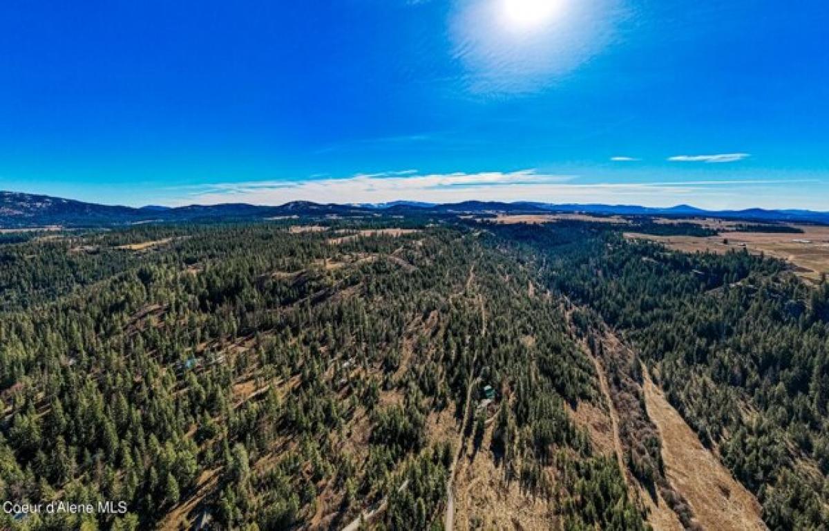 Picture of Residential Land For Sale in Saint Maries, Idaho, United States