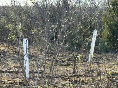 Residential Land For Sale in Laredo, Texas