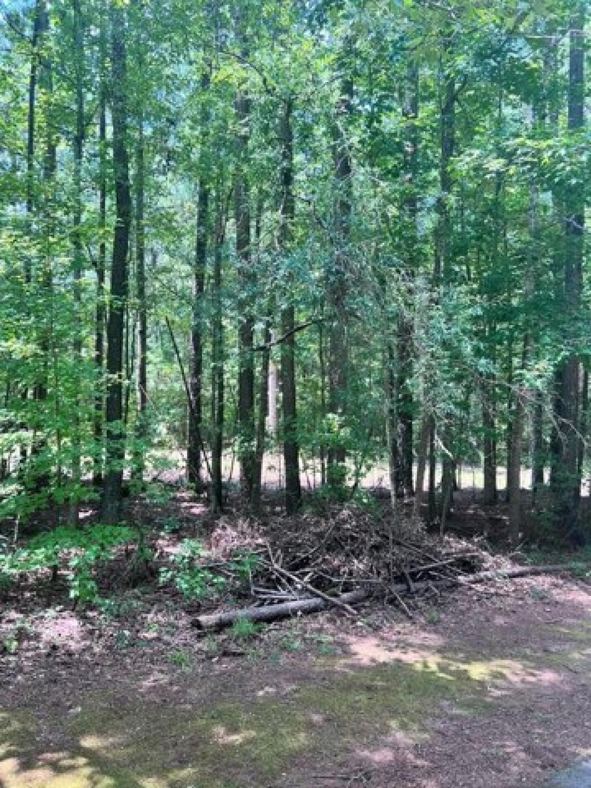 Picture of Residential Land For Sale in Greenwood, South Carolina, United States