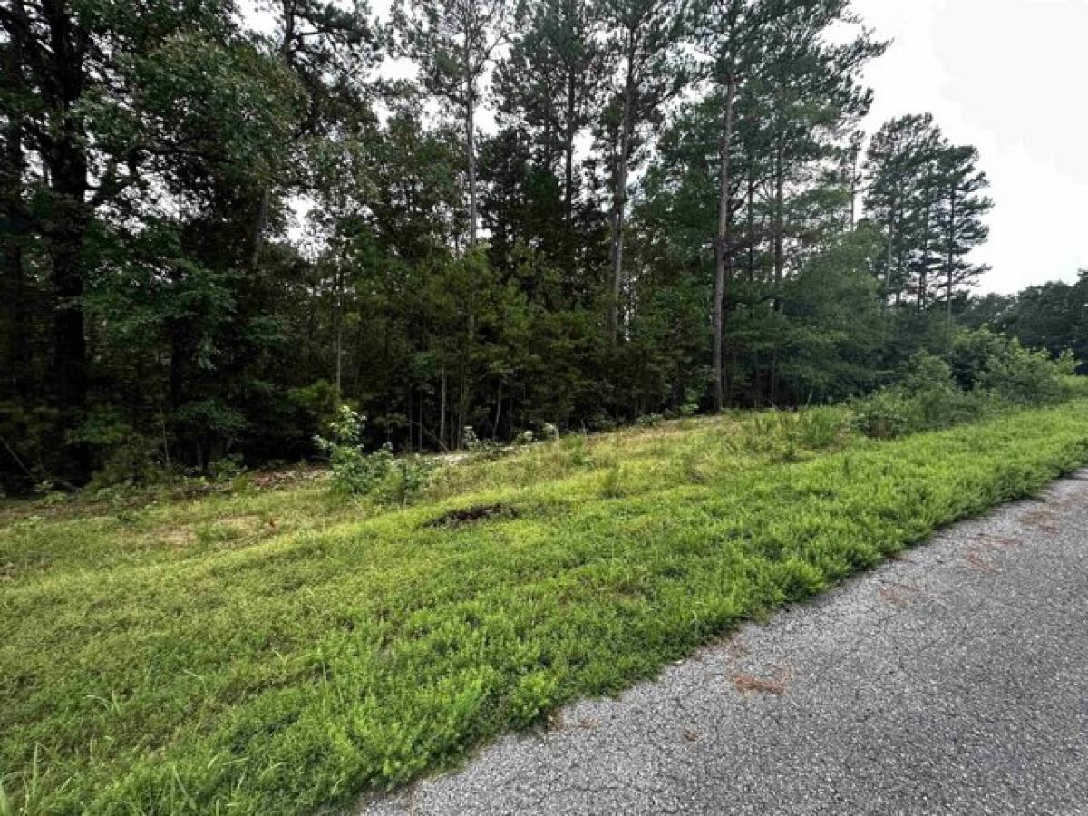 Picture of Residential Land For Sale in Shirley, Arkansas, United States