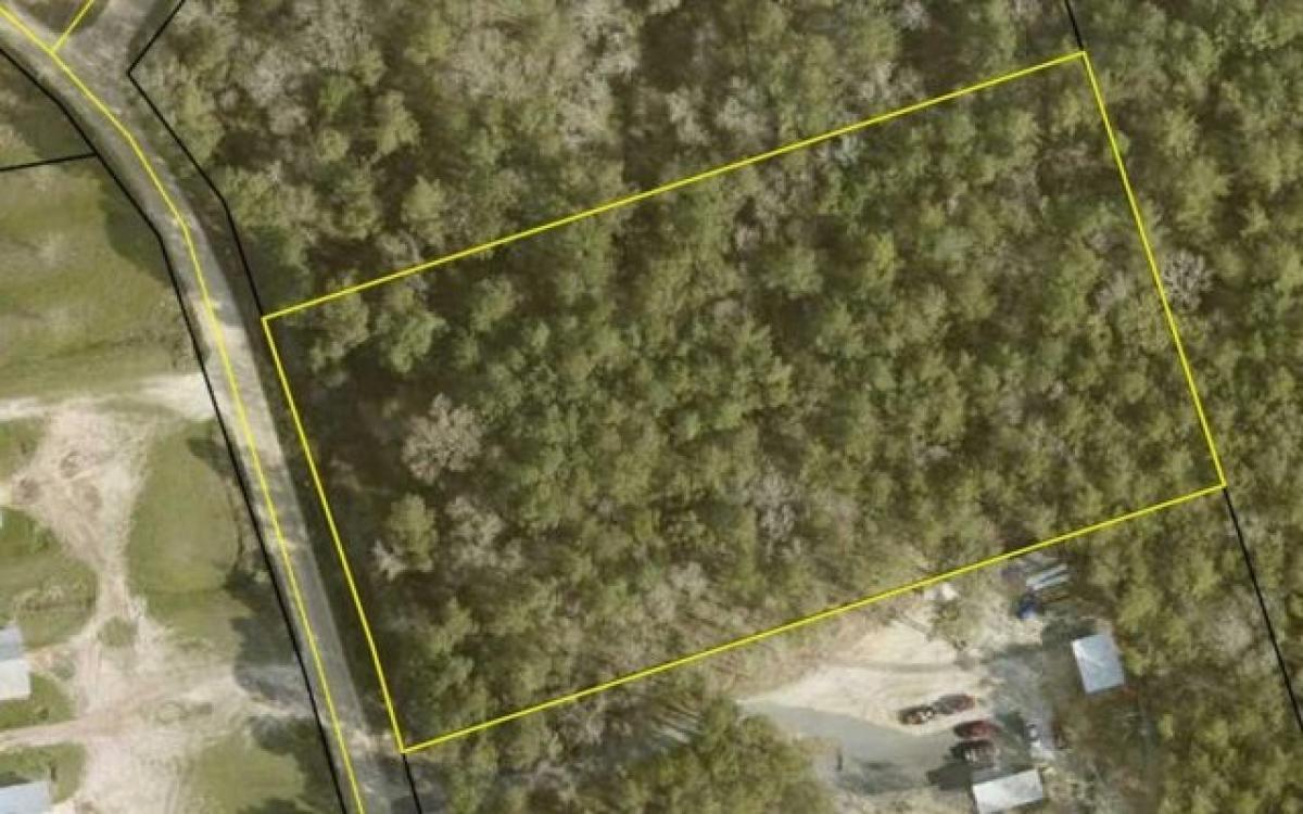 Picture of Residential Land For Sale in Glennville, Georgia, United States