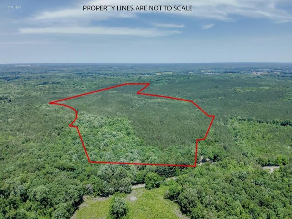 Picture of Residential Land For Sale in Camden, Tennessee, United States