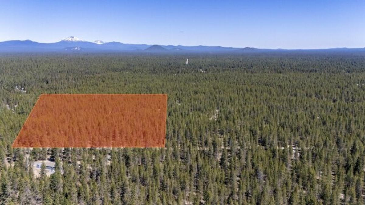 Picture of Residential Land For Sale in La Pine, Oregon, United States