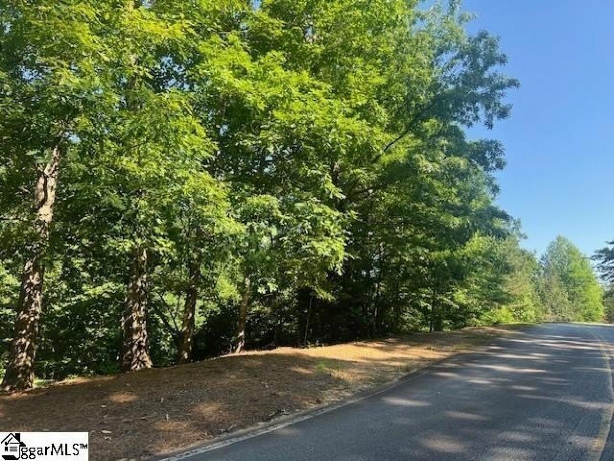 Picture of Residential Land For Sale in Marietta, South Carolina, United States