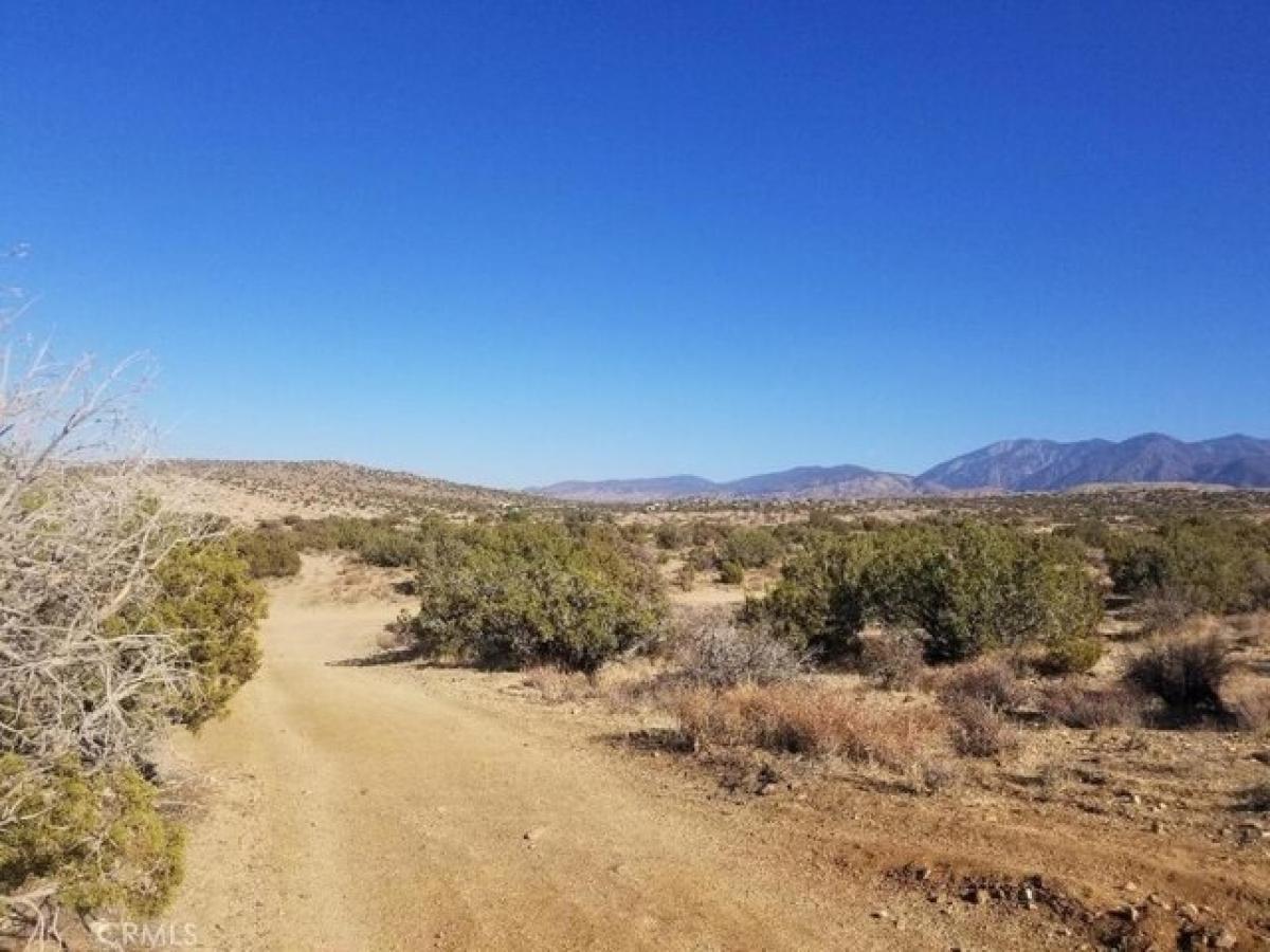 Picture of Residential Land For Sale in Pearblossom, California, United States