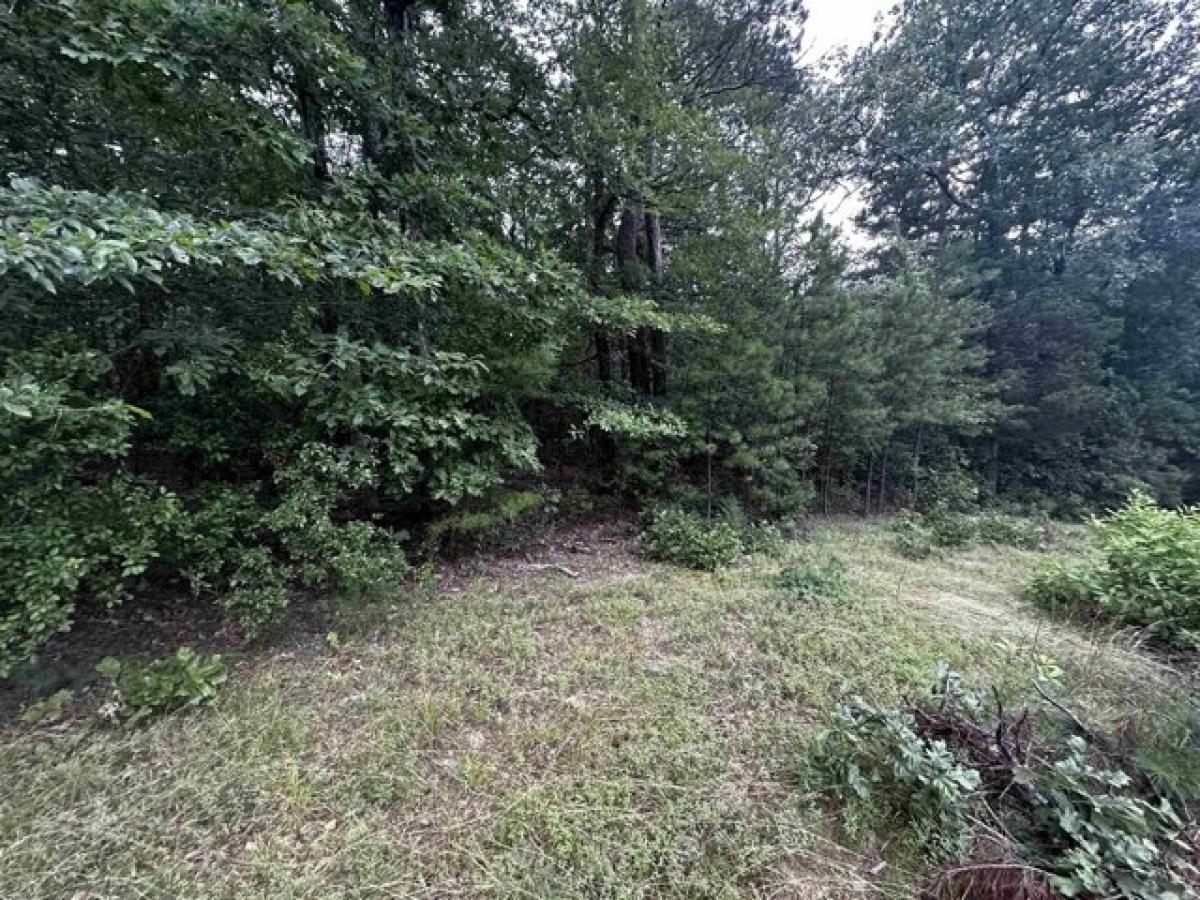 Picture of Residential Land For Sale in Shirley, Arkansas, United States