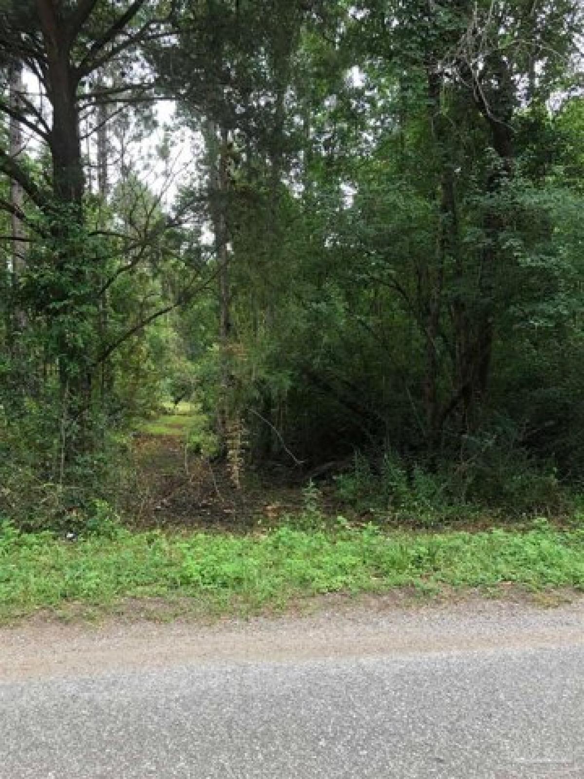 Picture of Residential Land For Sale in Cantonment, Florida, United States