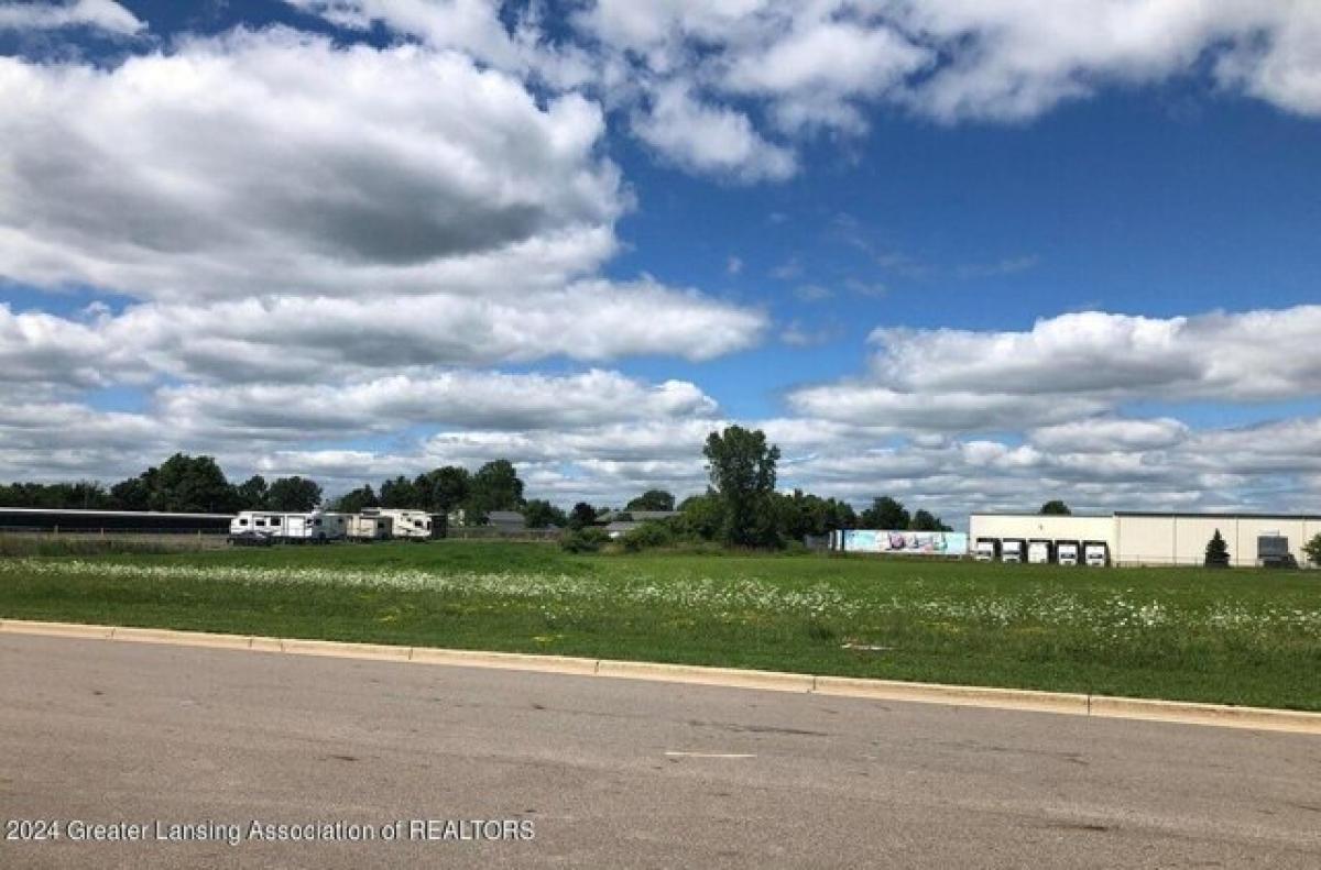 Picture of Residential Land For Sale in Grand Ledge, Michigan, United States