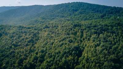 Residential Land For Sale in Blue Ridge, Virginia