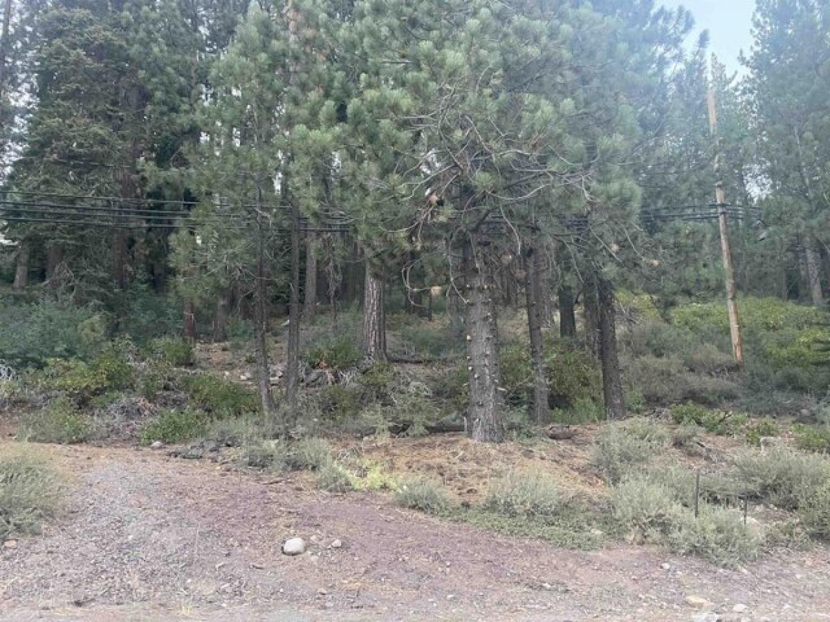 Picture of Residential Land For Sale in Truckee, California, United States