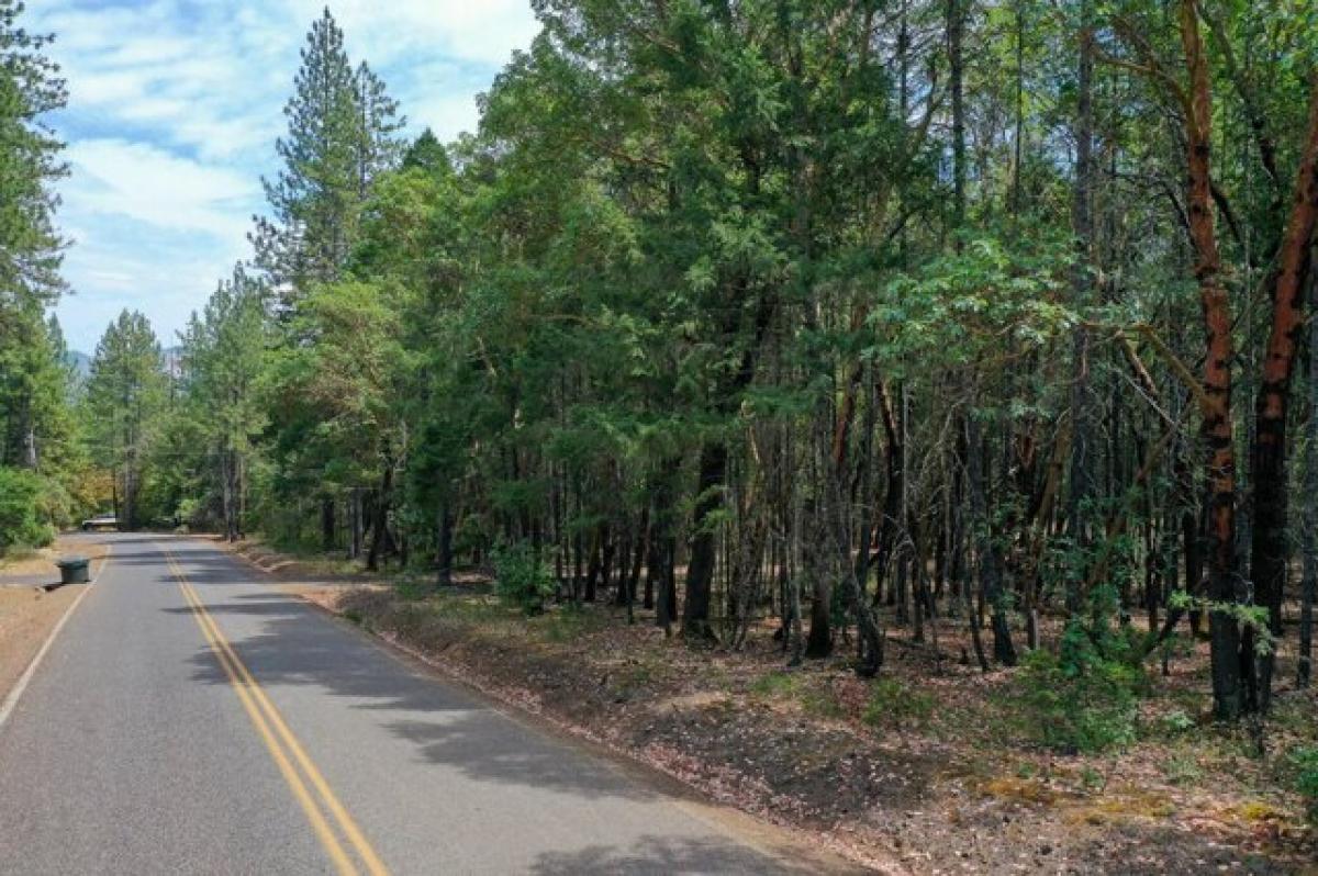 Picture of Residential Land For Sale in Williams, Oregon, United States