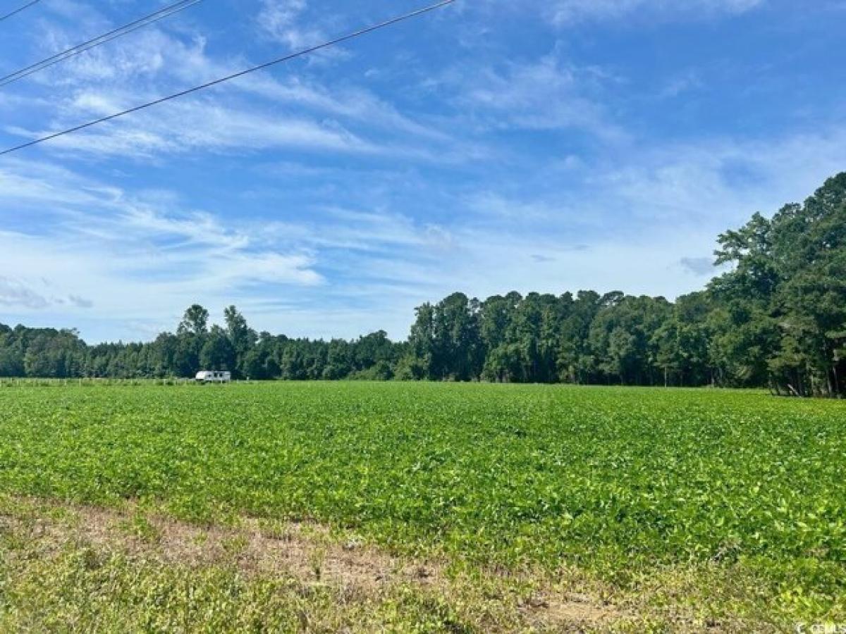 Picture of Residential Land For Sale in Lake View, South Carolina, United States