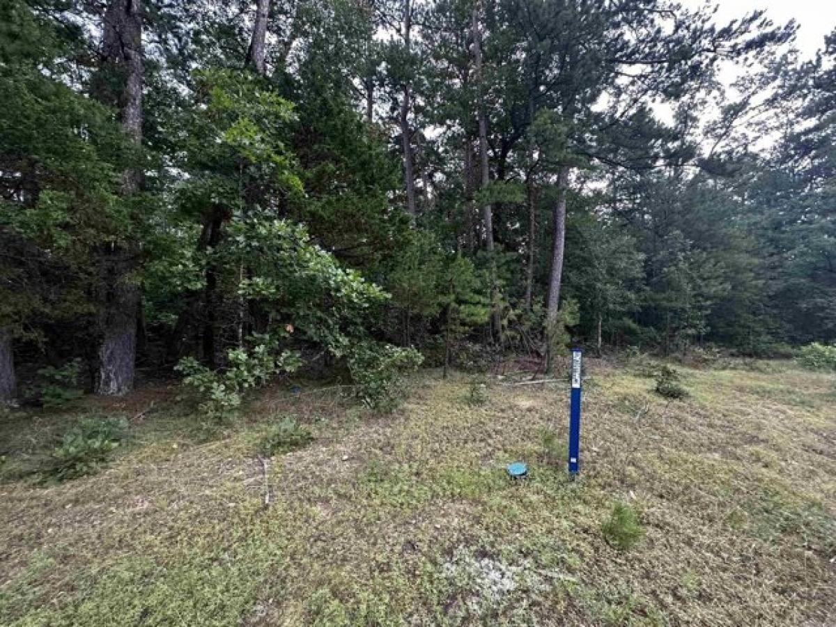 Picture of Residential Land For Sale in Shirley, Arkansas, United States