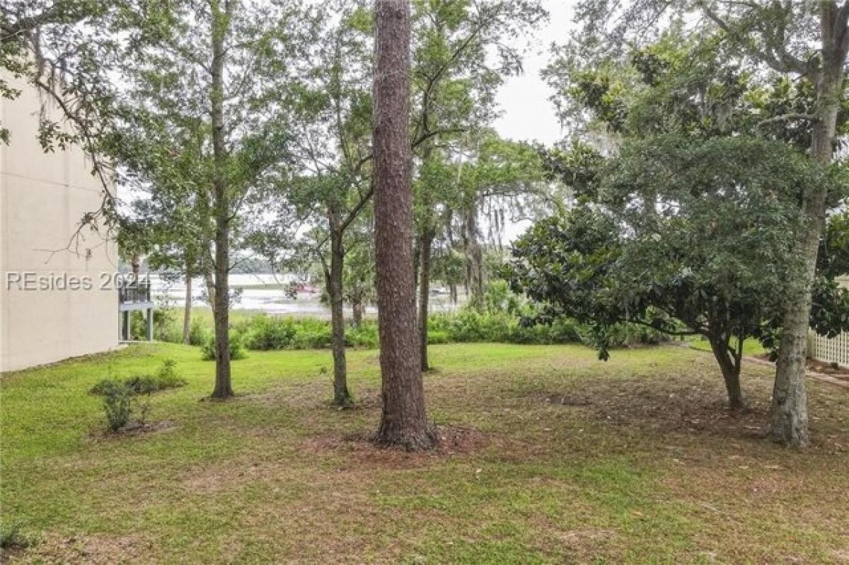 Picture of Residential Land For Sale in Hilton Head Island, South Carolina, United States