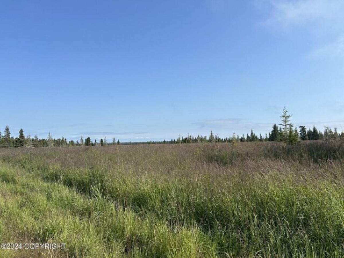 Picture of Residential Land For Sale in Kenai, Alaska, United States