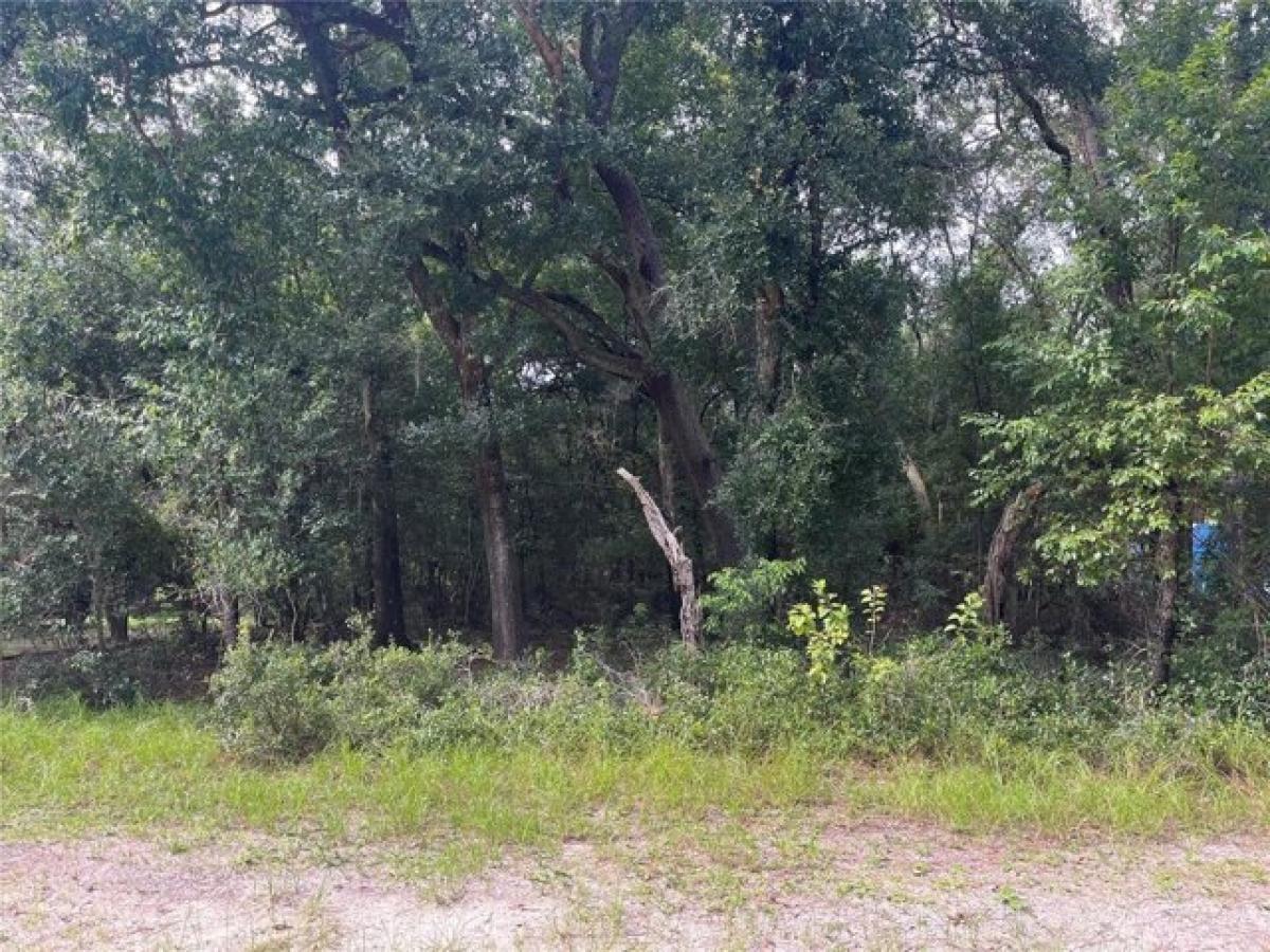 Picture of Residential Land For Sale in Altoona, Florida, United States