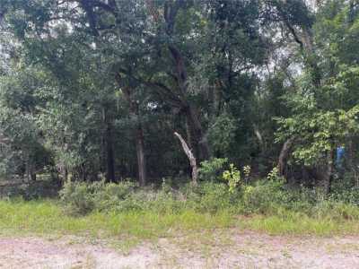 Residential Land For Sale in Altoona, Florida