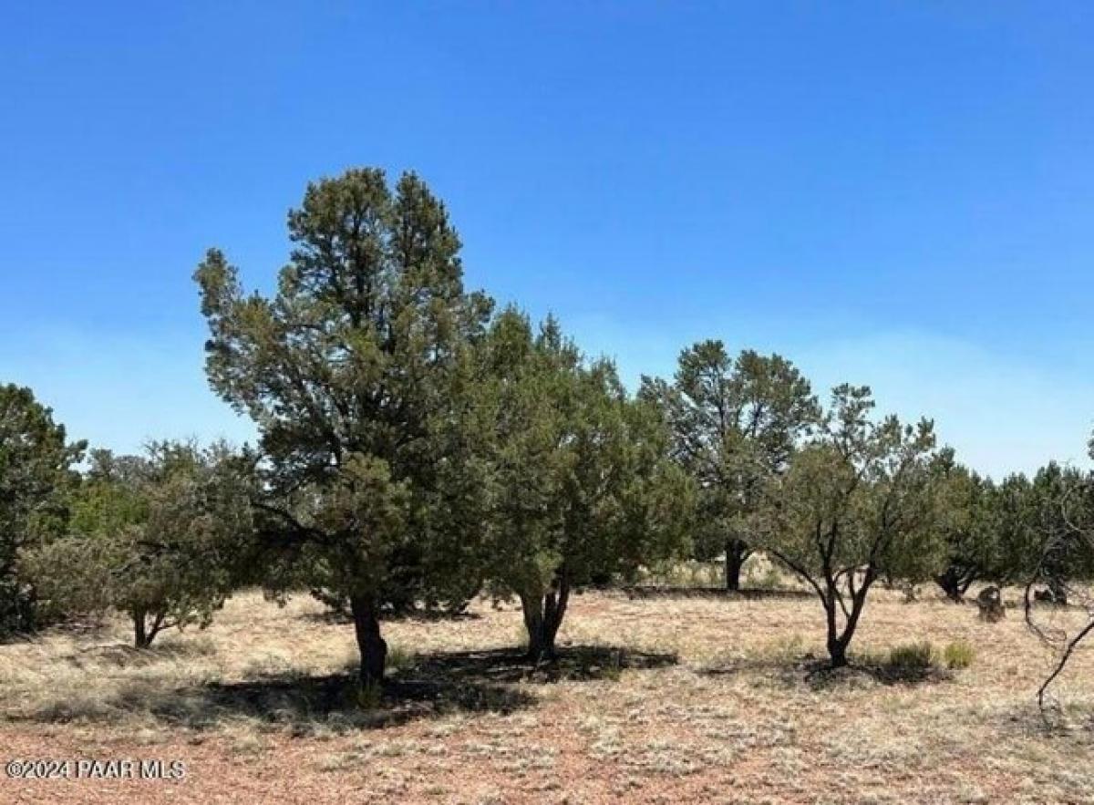 Picture of Residential Land For Sale in Seligman, Arizona, United States