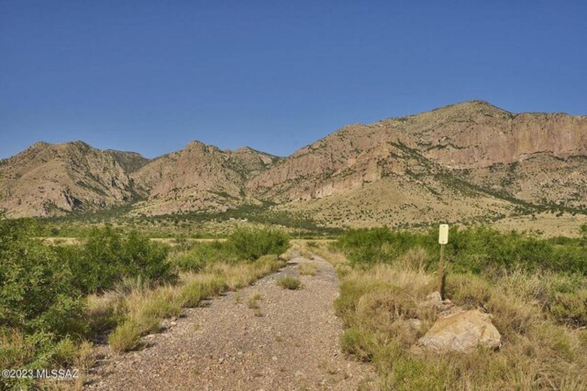 Picture of Residential Land For Sale in Portal, Arizona, United States