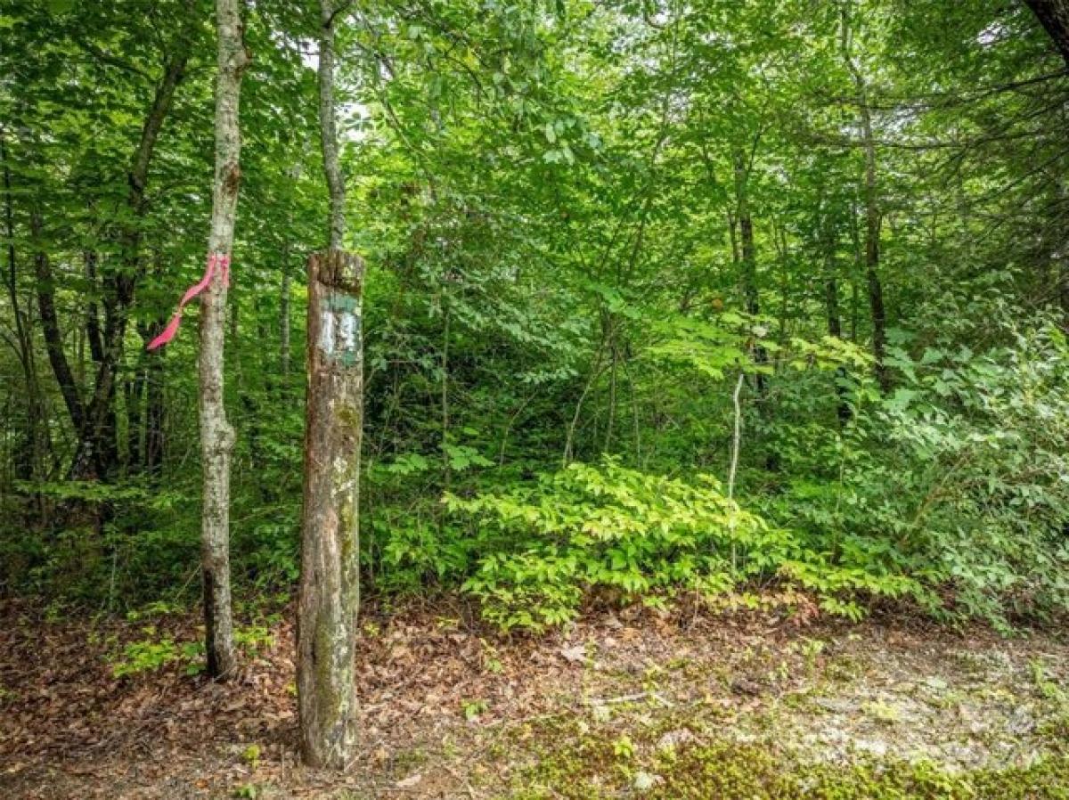 Picture of Residential Land For Sale in Lake Toxaway, North Carolina, United States