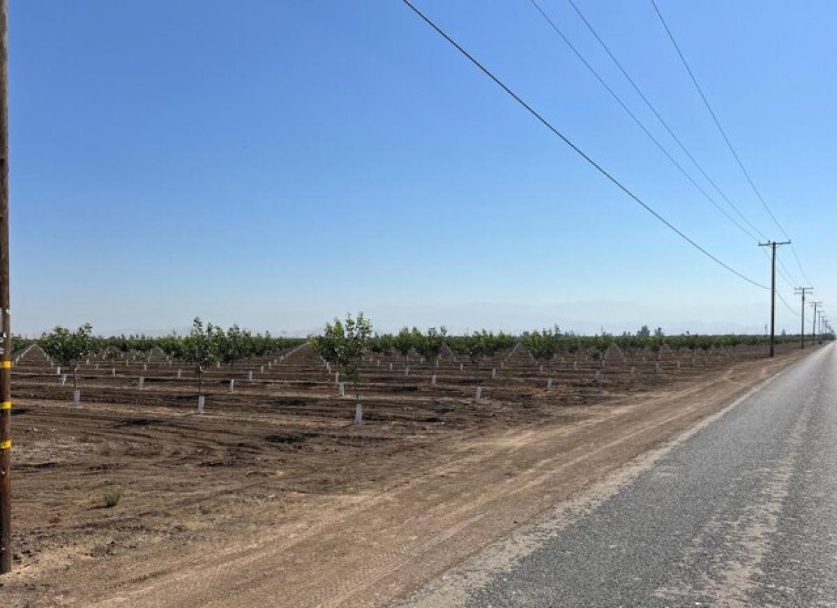 Picture of Residential Land For Sale in Strathmore, California, United States