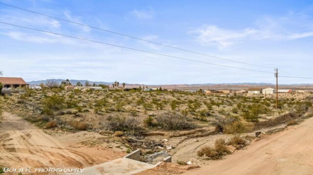 Picture of Residential Land For Sale in Littlefield, Arizona, United States