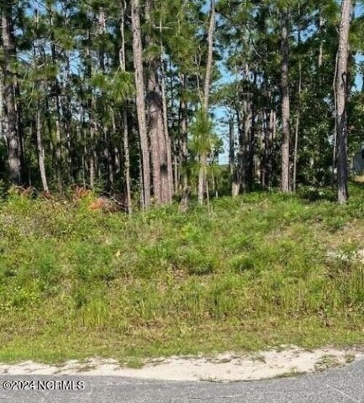 Picture of Residential Land For Sale in Southport, North Carolina, United States