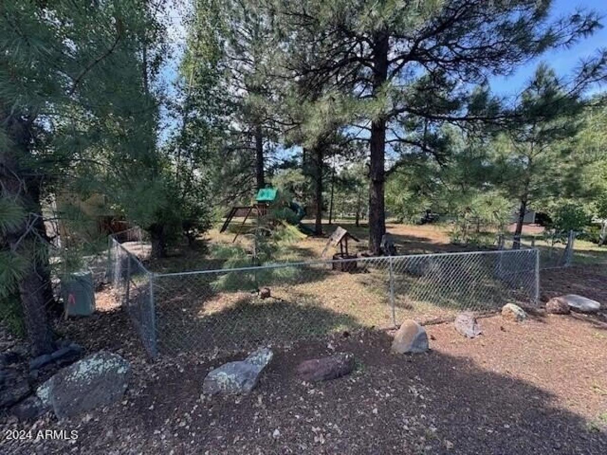 Picture of Residential Land For Sale in Munds Park, Arizona, United States