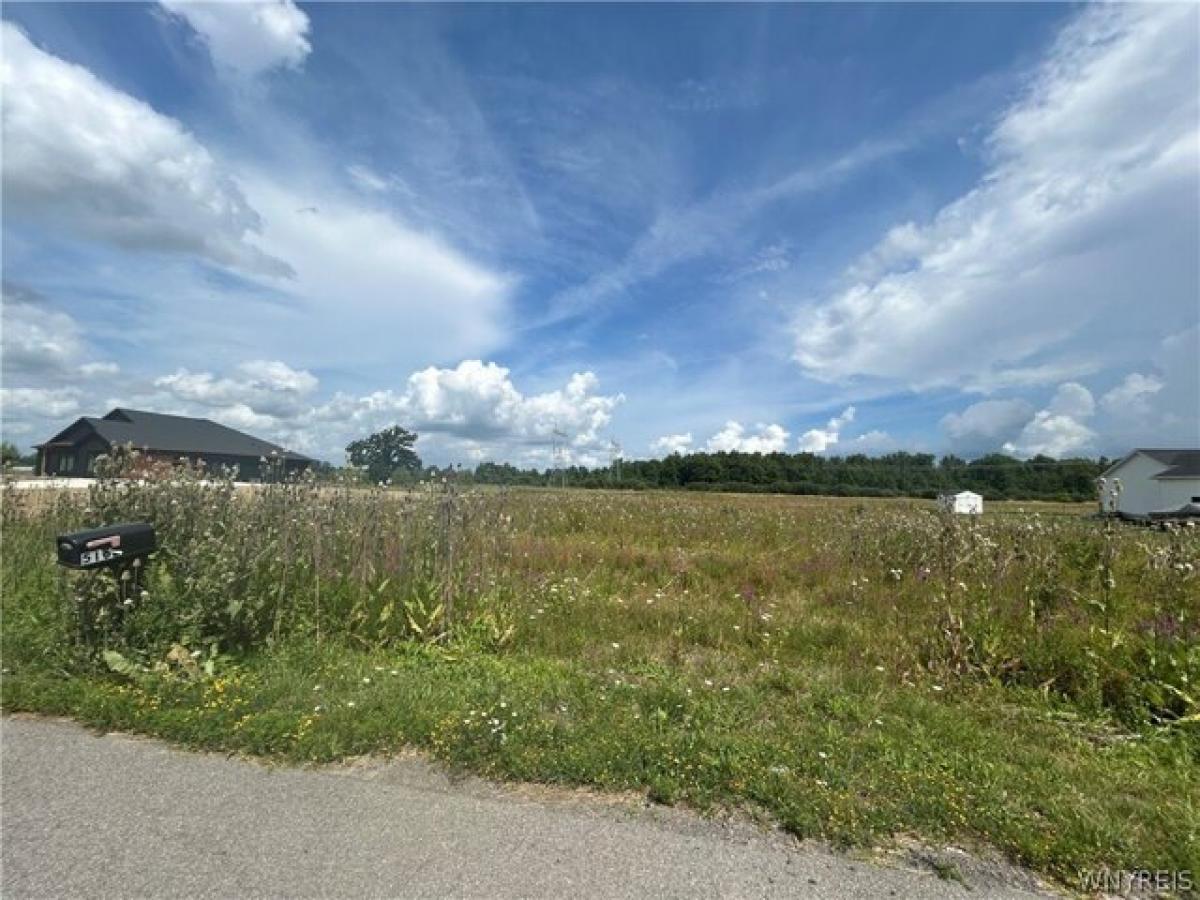 Picture of Residential Land For Sale in Lockport, New York, United States