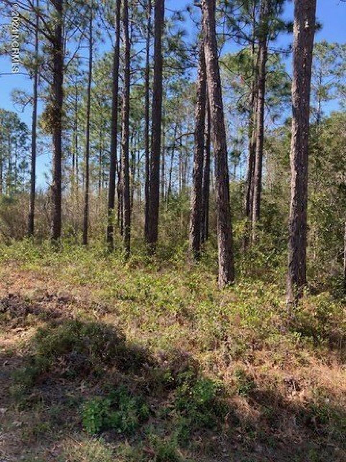 Picture of Residential Land For Sale in Southport, North Carolina, United States