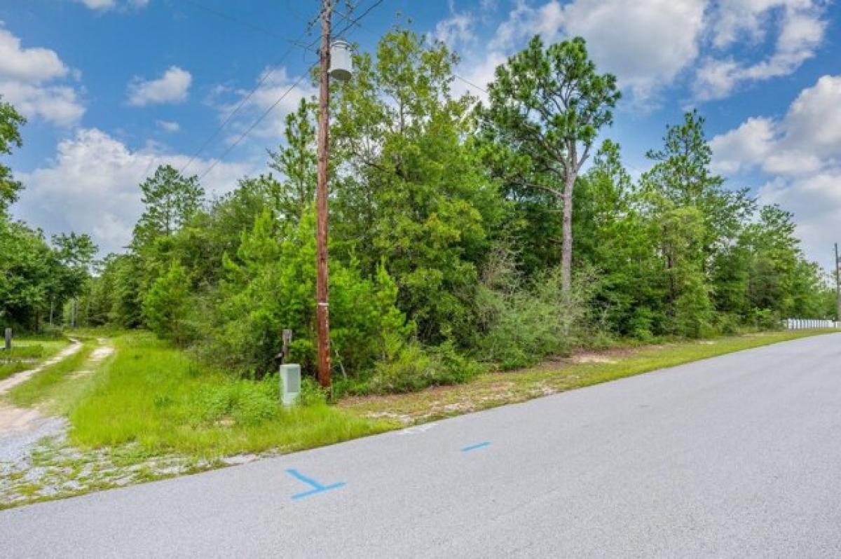 Picture of Residential Land For Sale in Crestview, Florida, United States