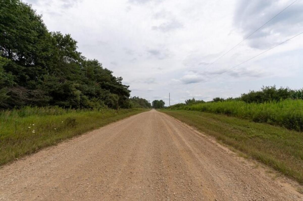 Picture of Residential Land For Sale in Remus, Michigan, United States