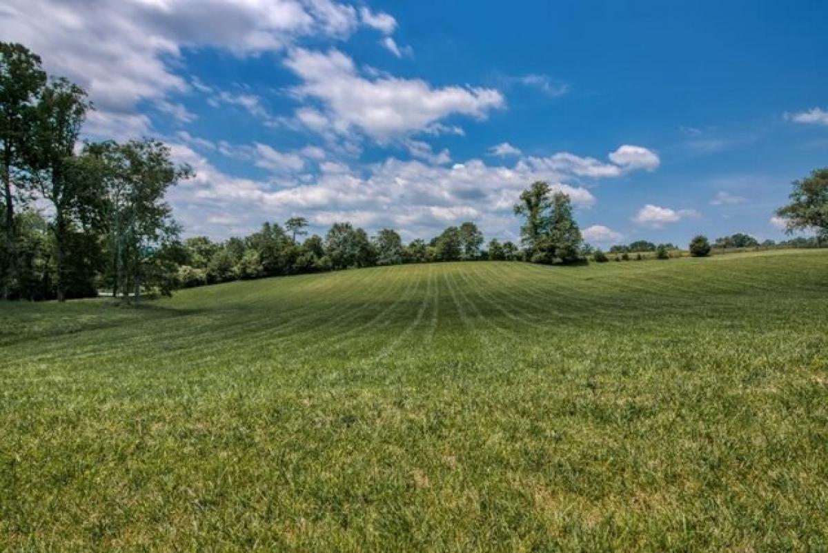 Picture of Residential Land For Sale in Abingdon, Virginia, United States