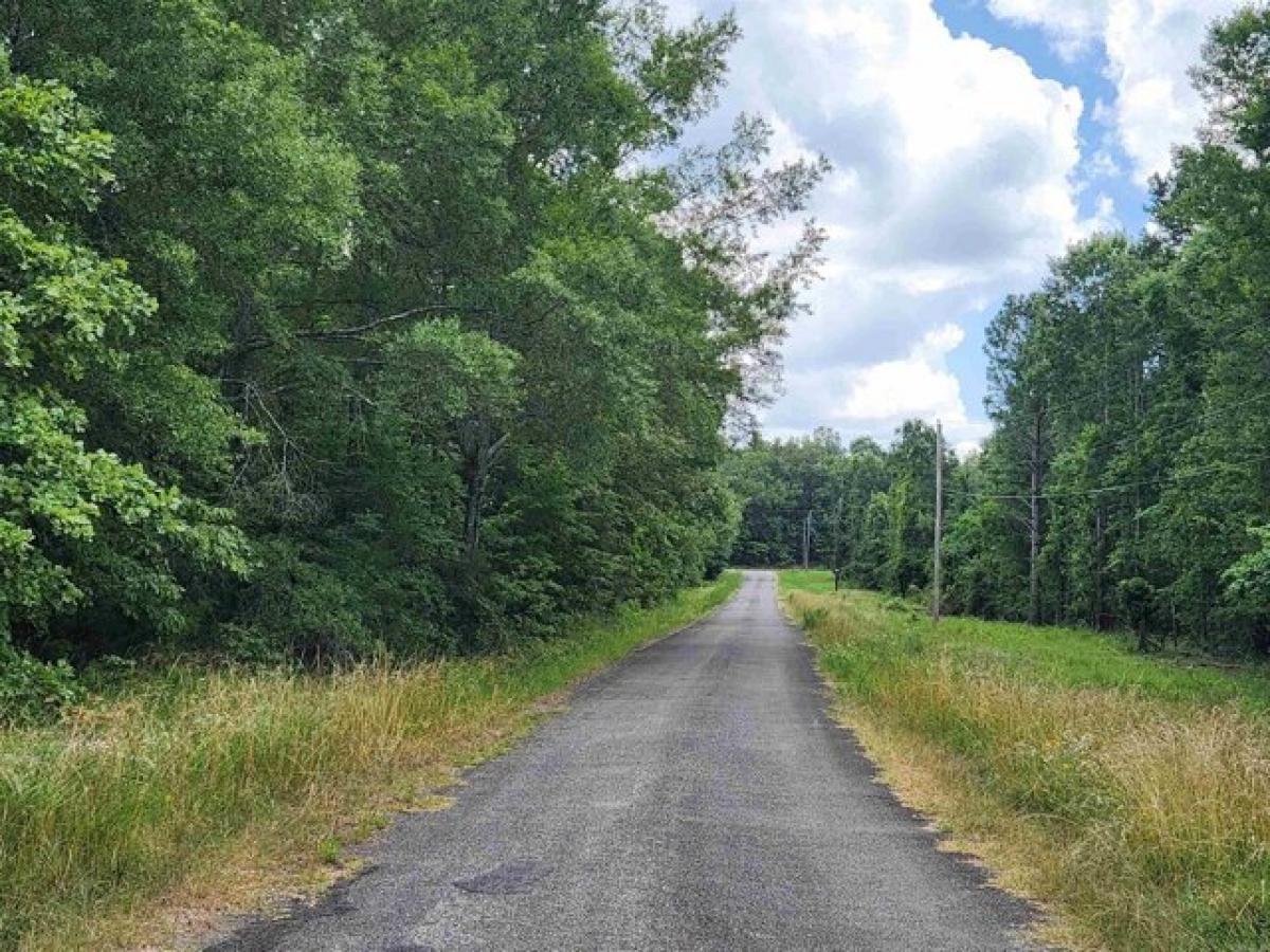 Picture of Residential Land For Sale in Vilonia, Arkansas, United States